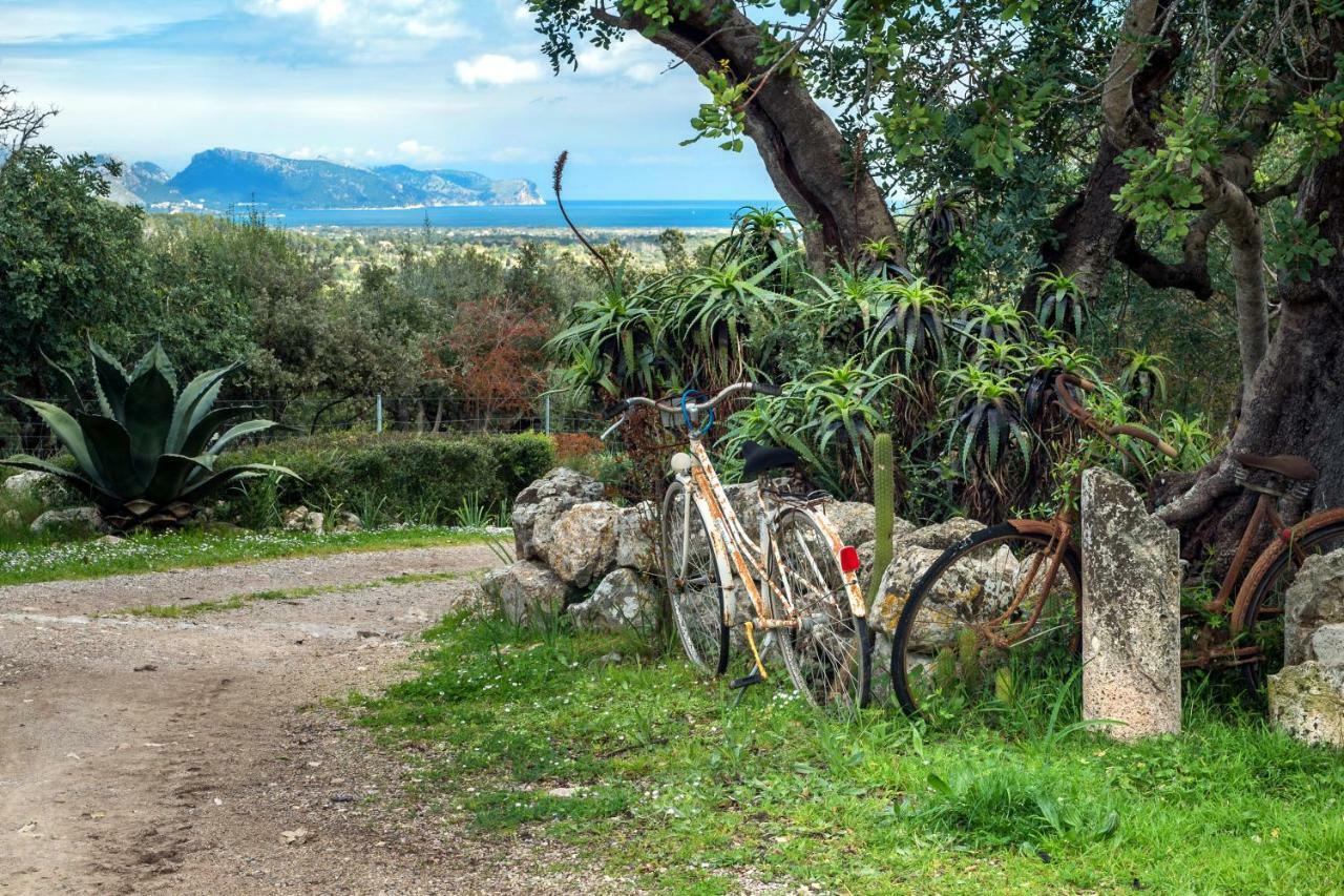 Agroturismo Can Guillo Villa Pollença Eksteriør bilde